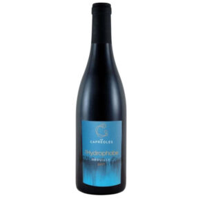 Domaine Les Capréoles Brouilly L'Hydrophobe 2023