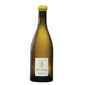 Domaine Maxime Blin Coteaux Champenois Terre de Sable