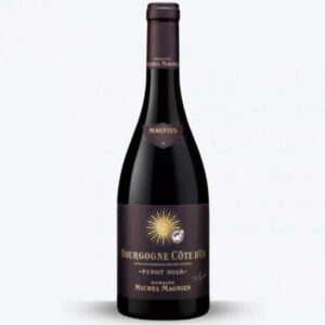Domaine Michel Magnien Bourgogne Côte d'Or Pinot Noir 2020
